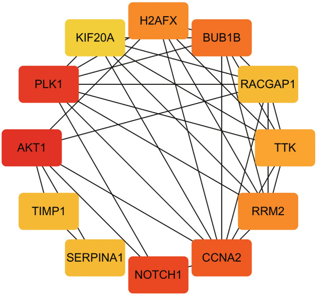 Fig. 13