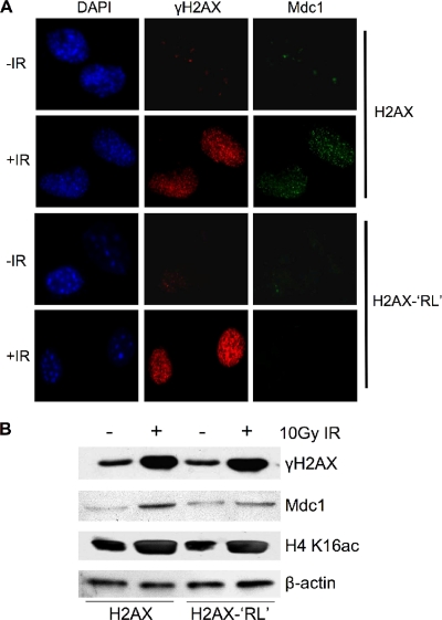 FIG. 8.