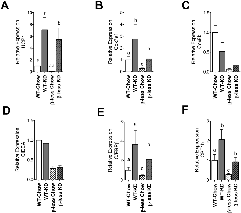 Figure 5