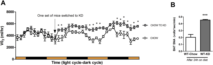 Figure 7