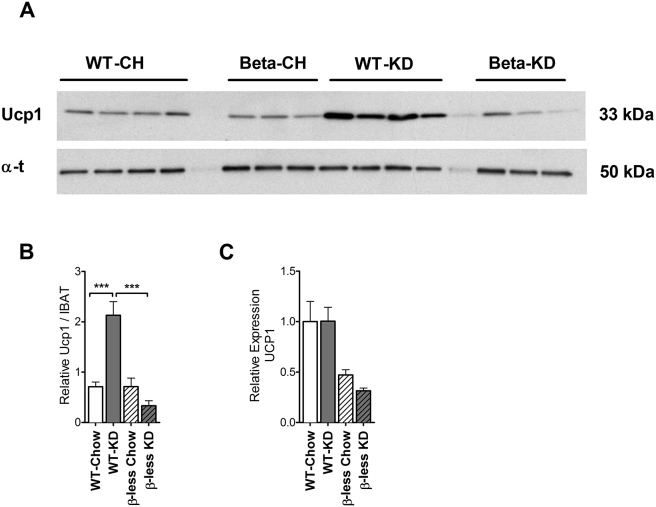 Figure 6