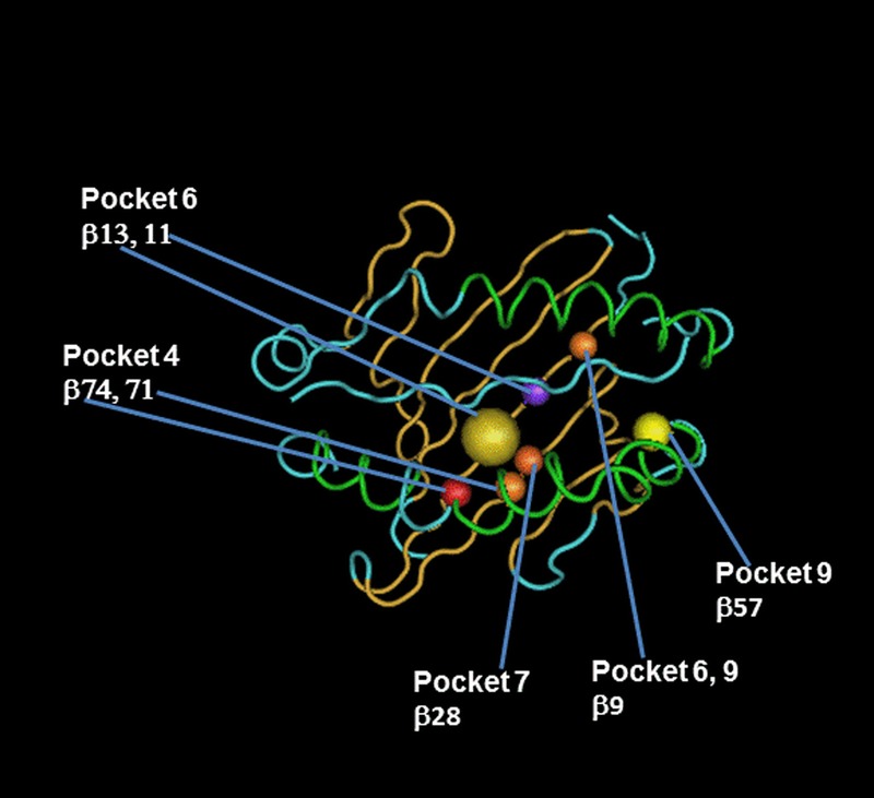 FIGURE 3