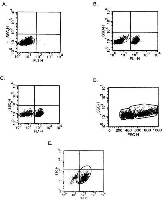 FIG. 4
