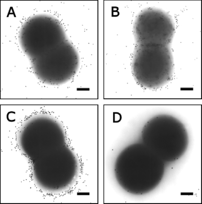 FIG. 4.