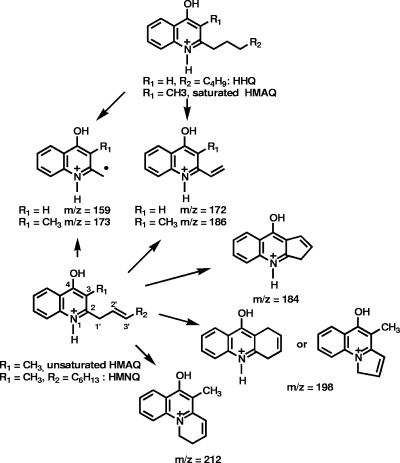 FIG. 7.