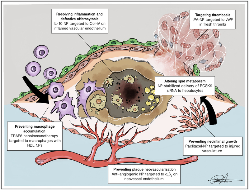 Figure 1: