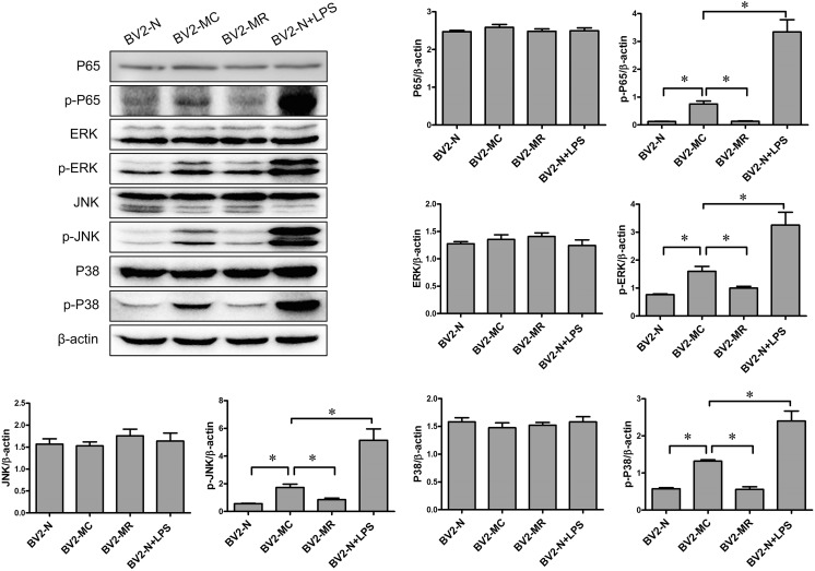 Fig. 3