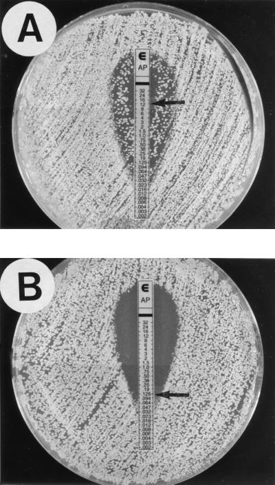 FIG. 1