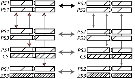 Fig. 1.