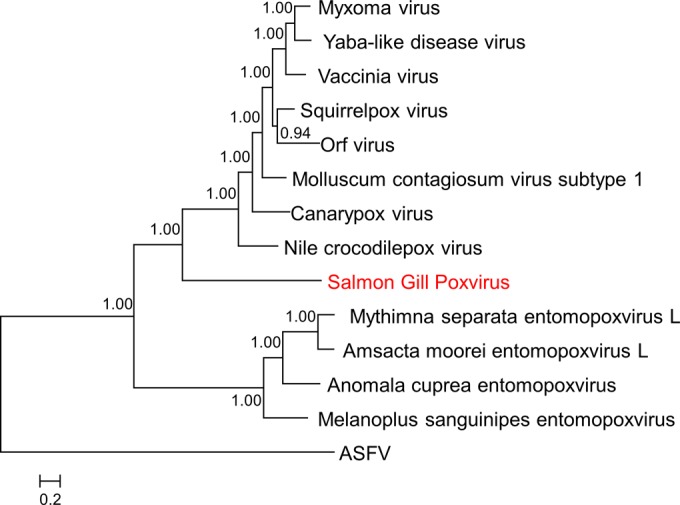 FIG 3