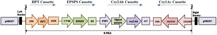 FIGURE 1