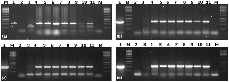 FIGURE 3