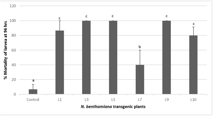 FIGURE 6