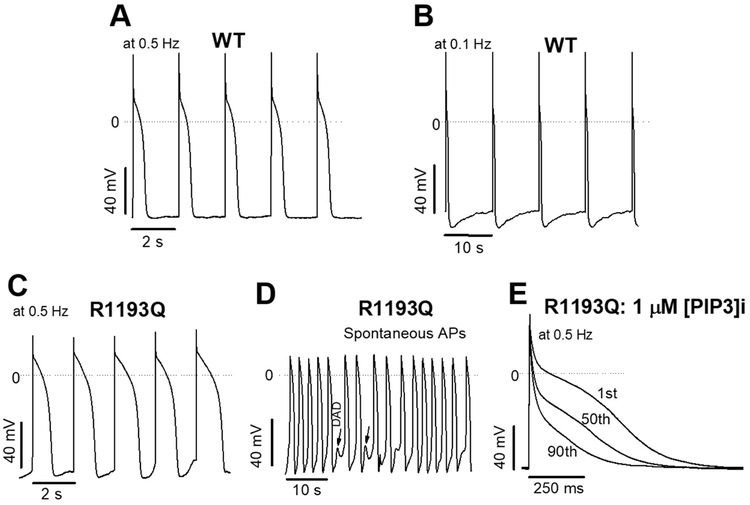 Figure 4: