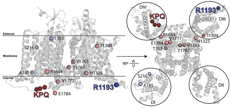 Figure 5: