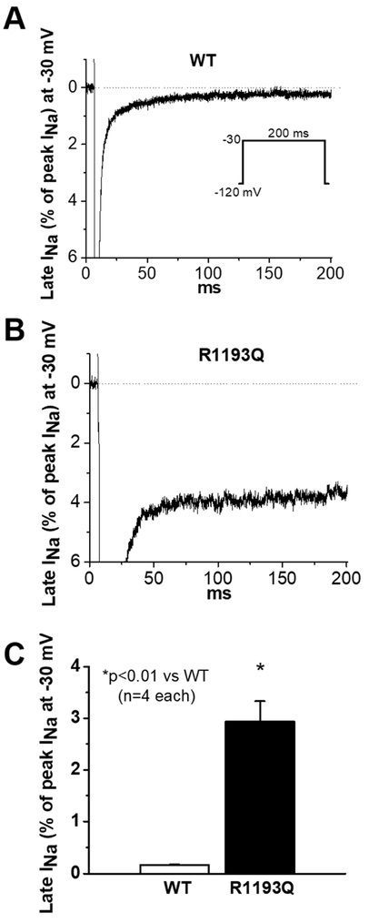 Figure 3: