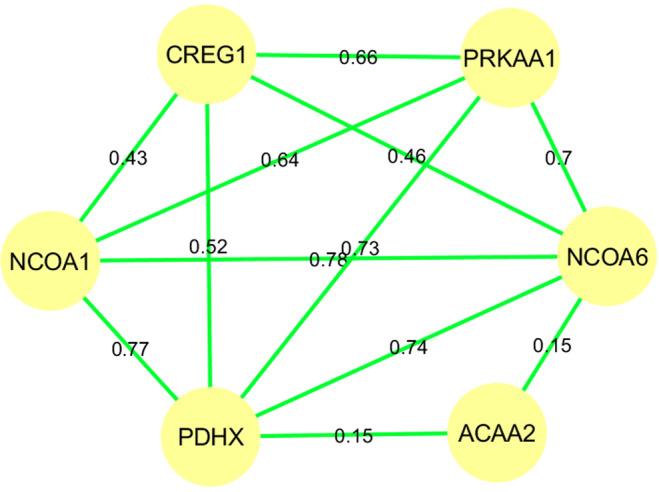Figure 9