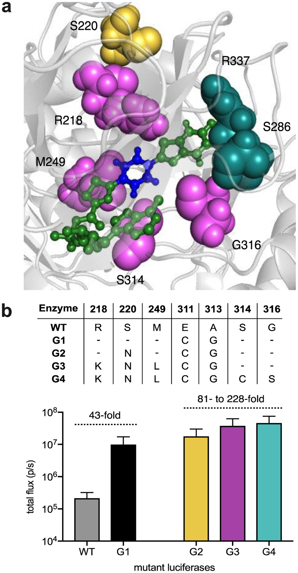 Figure 4.