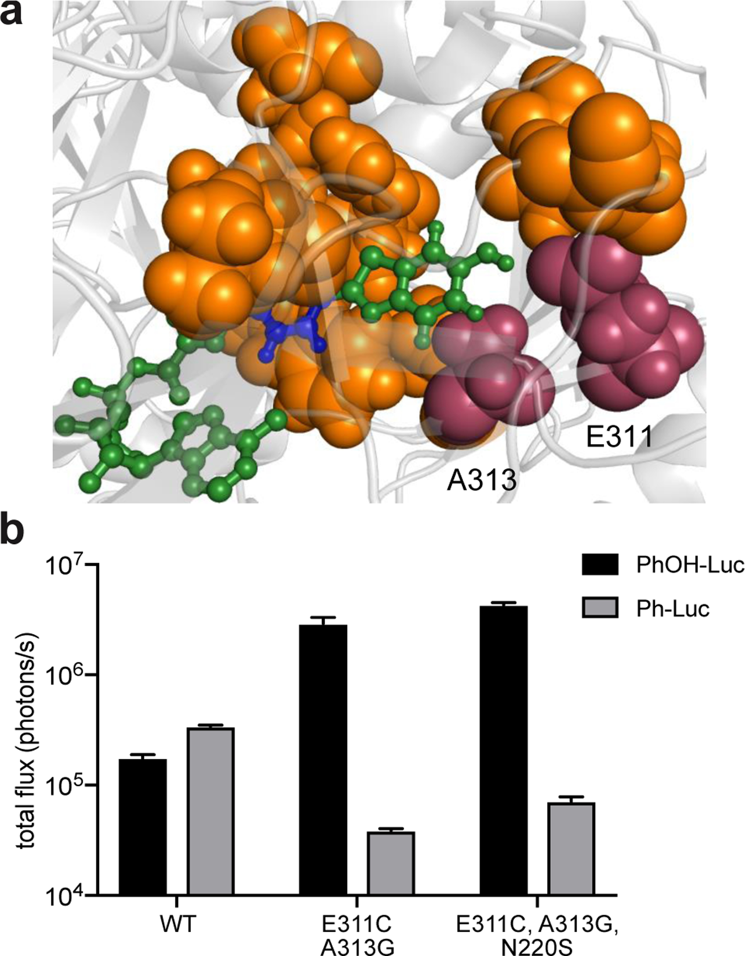 Figure 2.