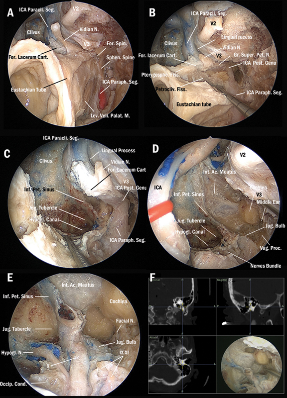 Fig. 3