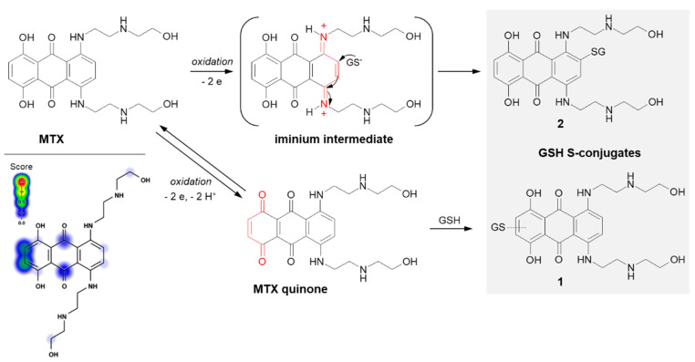 Figure 13