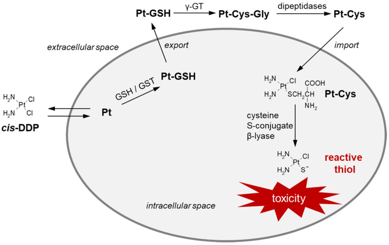 Figure 17