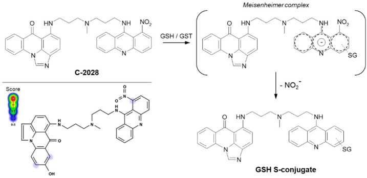 Figure 11