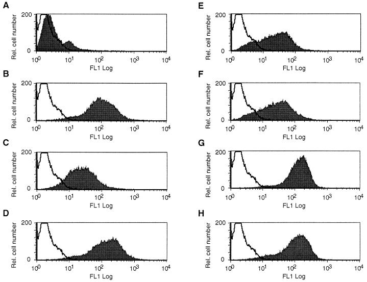 FIG. 1