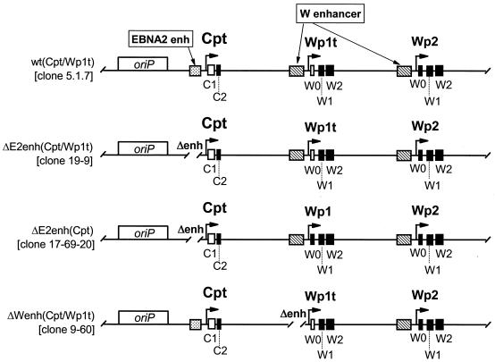 FIG. 3.