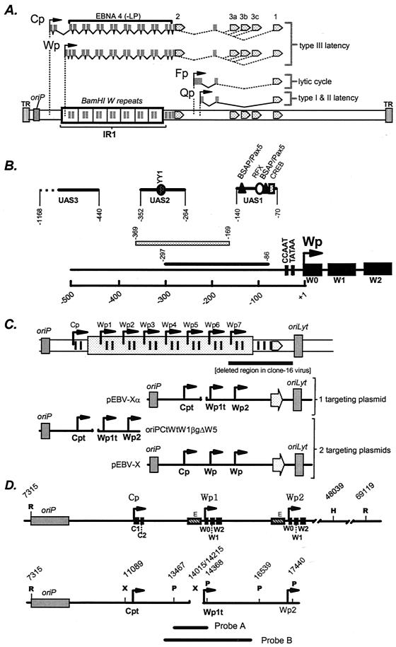 FIG. 1.