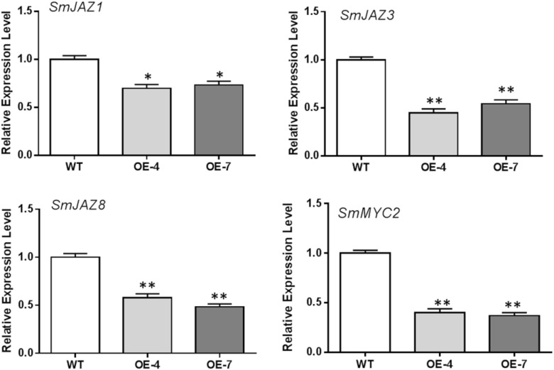 FIGURE 3