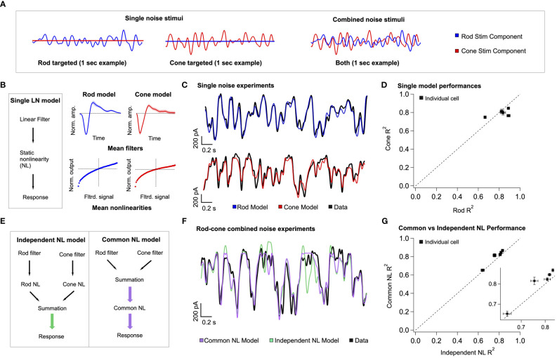 Figure 6