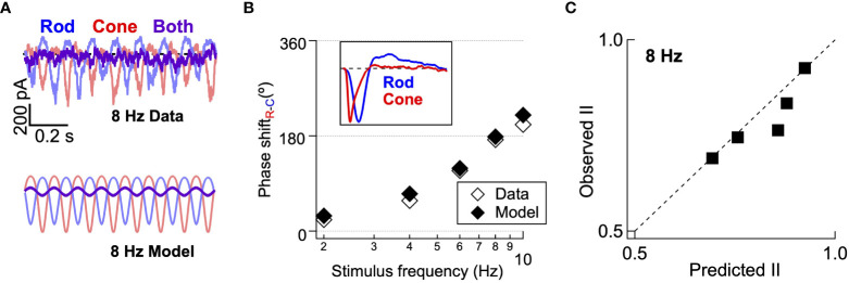 Figure 7