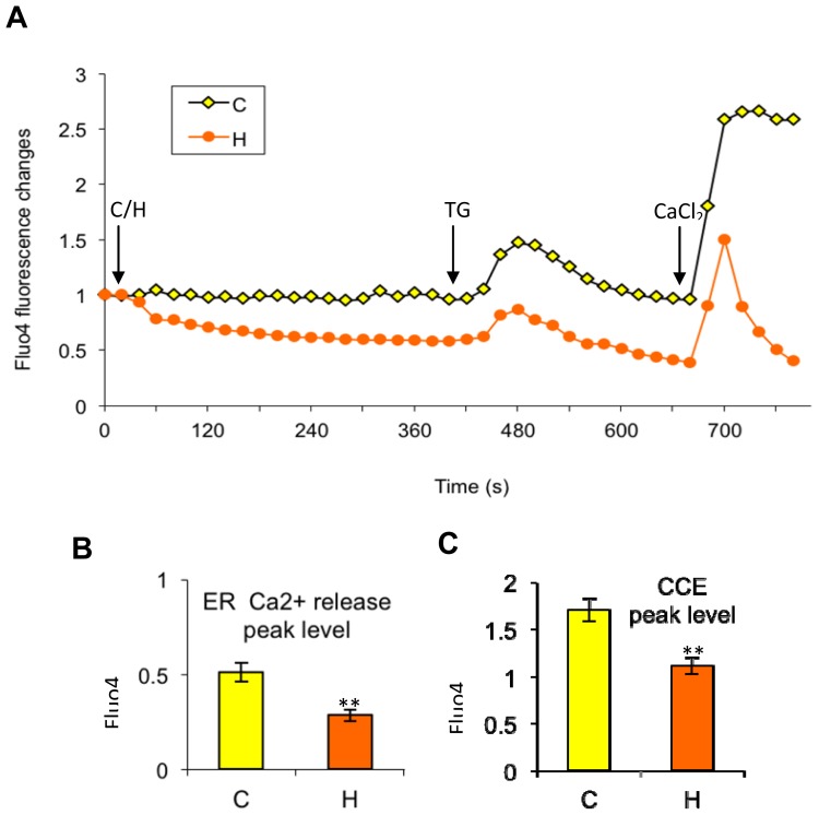 Figure 6.