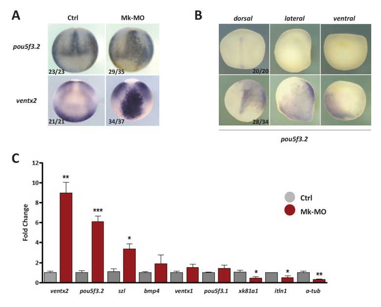 Figure 2—figure supplement 2.