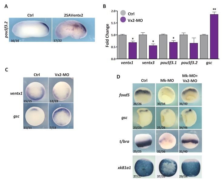 Figure 4—figure supplement 1.