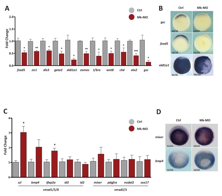 Figure 1—figure supplement 2.