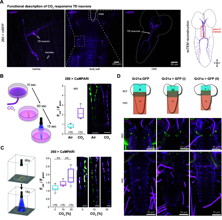 Figure 3—figure supplement 2.