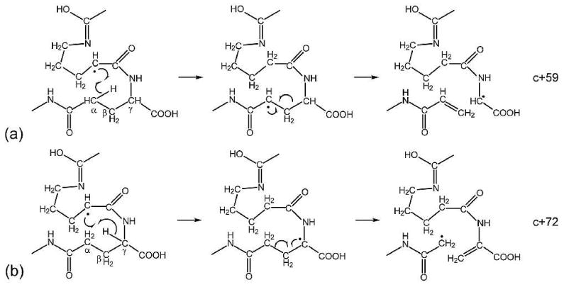 Scheme 4