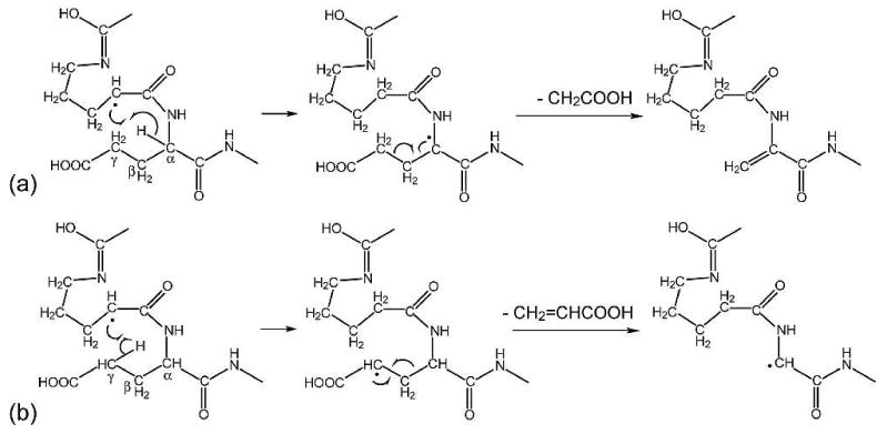 Scheme 5