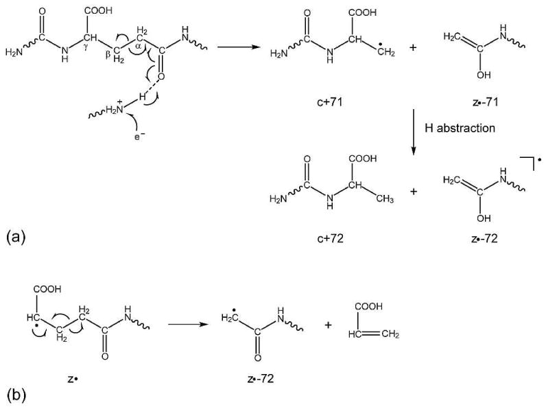 Scheme 3