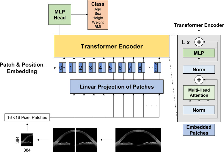 Figure 2.