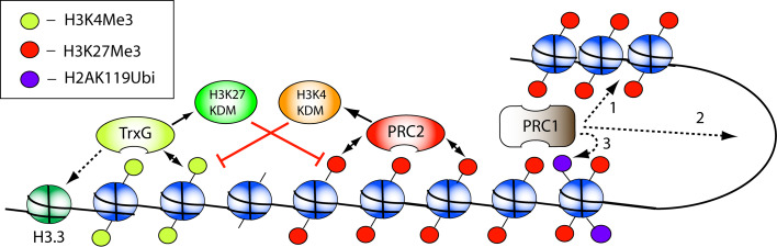 Fig. 2