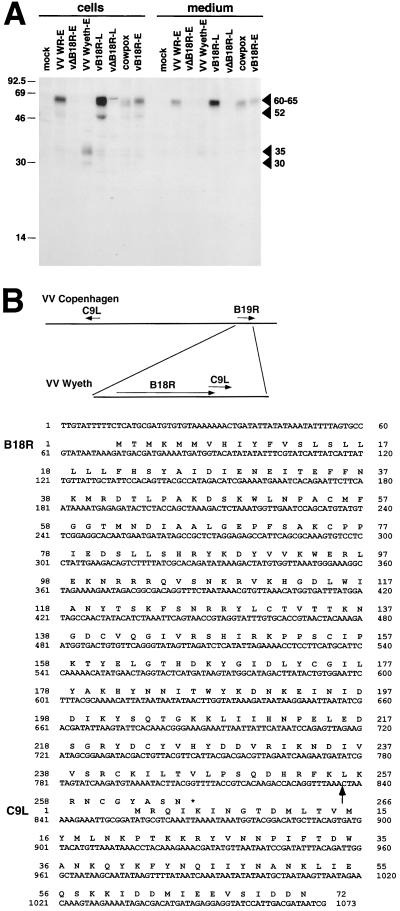 FIG. 6