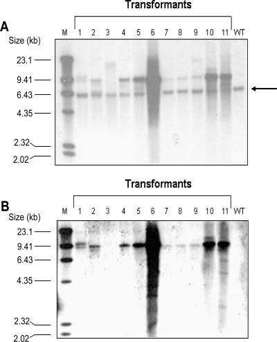 FIG. 3.