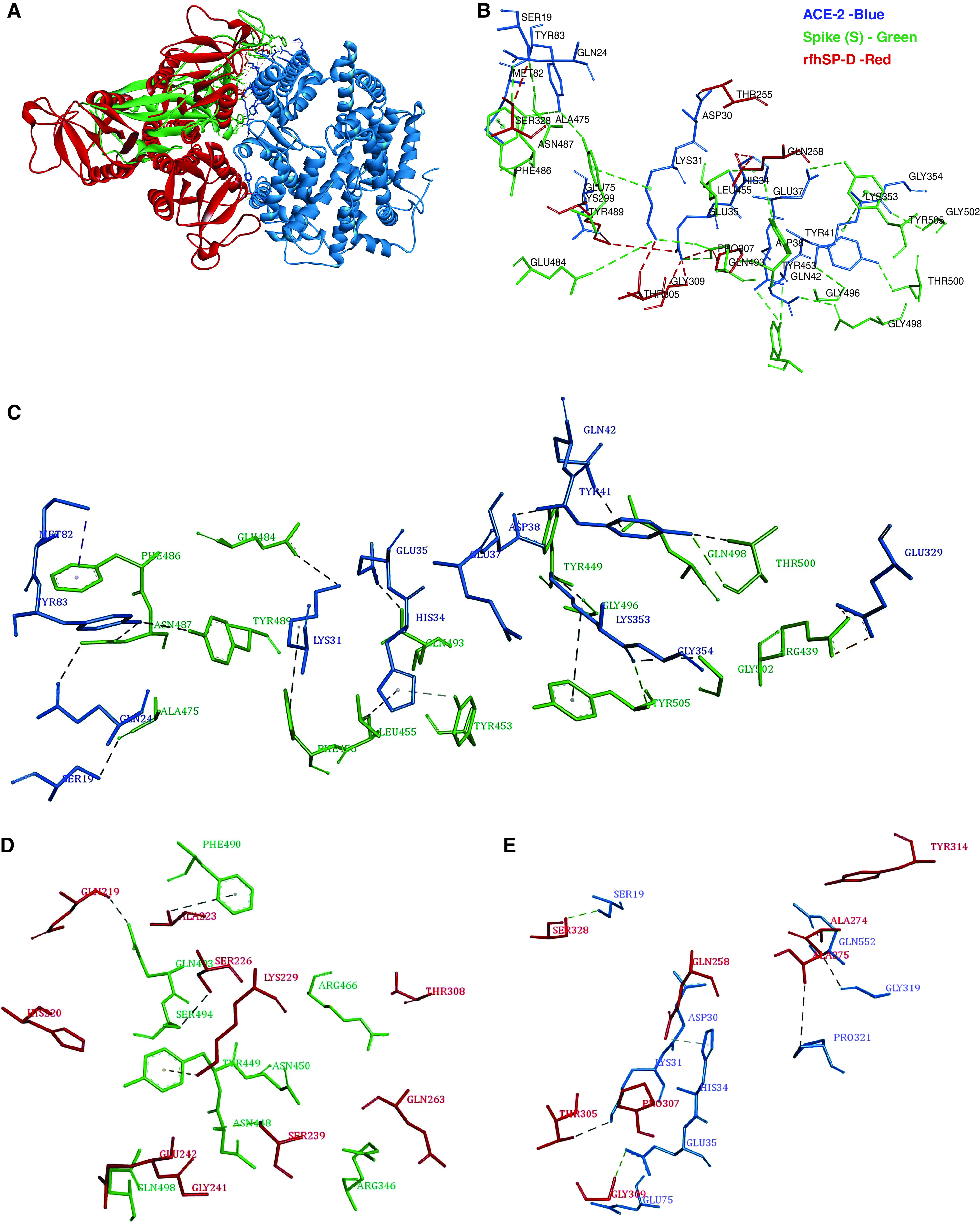 Figure 1.