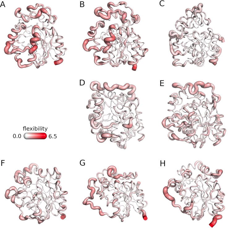 Fig. 5