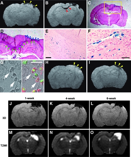 FIG. 4.