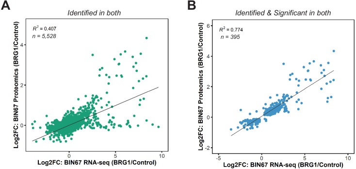 Figure 1—figure supplement 3.