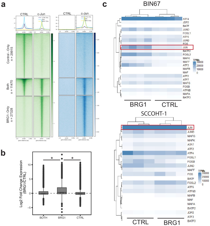 Figure 4—figure supplement 1.